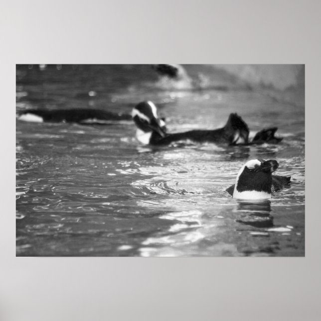 Poster Relaxante (Frente)