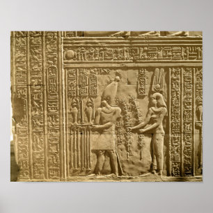Póster Relevo representando Tolomeu VIII Evergeta II