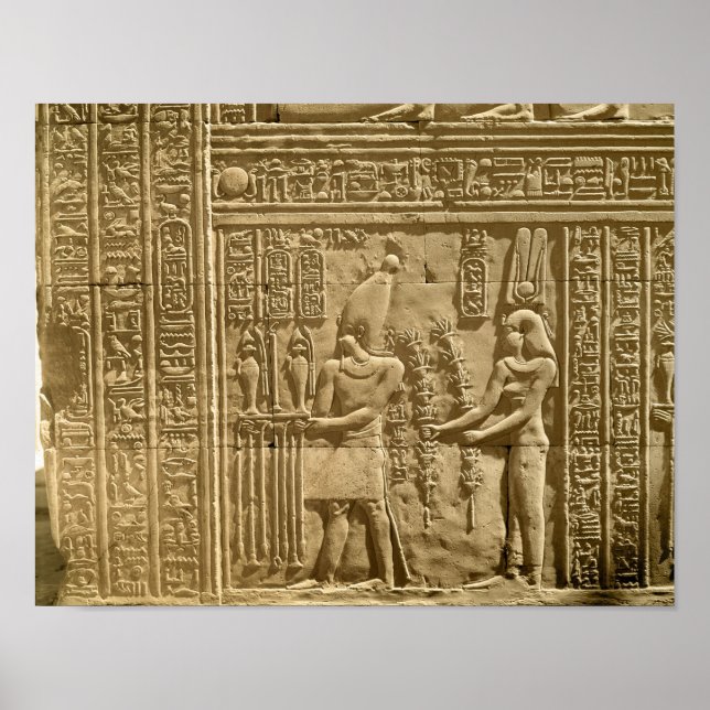 Póster Relevo representando Tolomeu VIII Evergeta II (Frente)