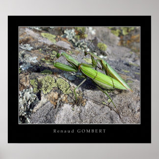 Póster Religiões Mante