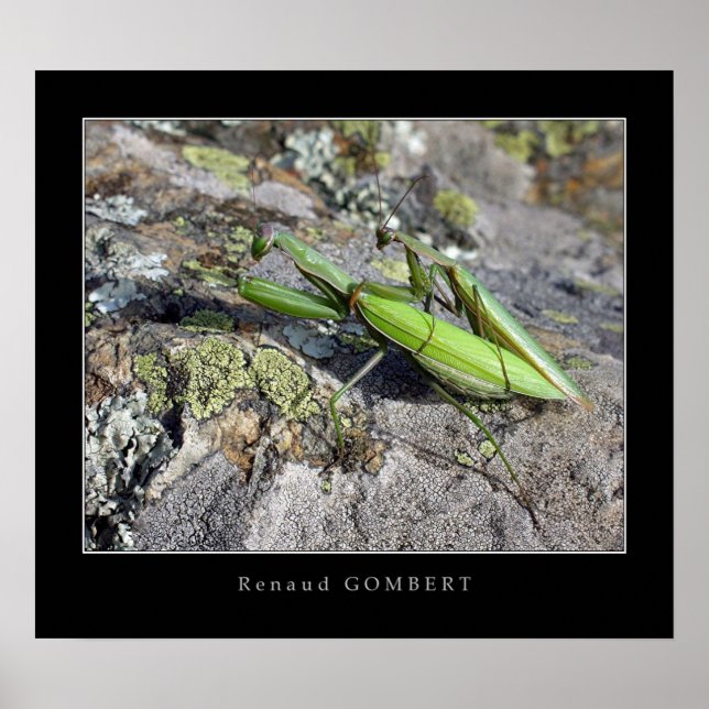 Póster Religiões Mante (Frente)