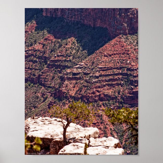 Poster Relógios Rafinescos (Frente)