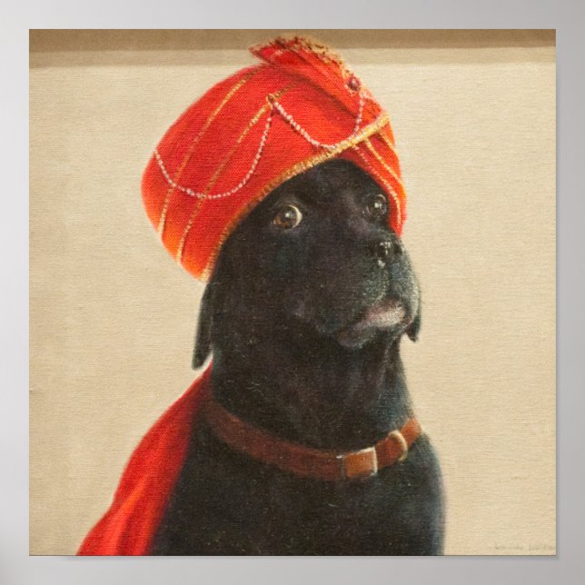 Póster Relutante Maharaja 2010 (Frente)