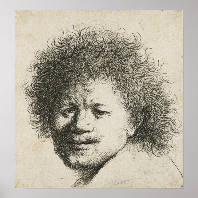 Poster Rembrandt - Autorretrato, Cabelo Longo e Farto 163 (Frente)