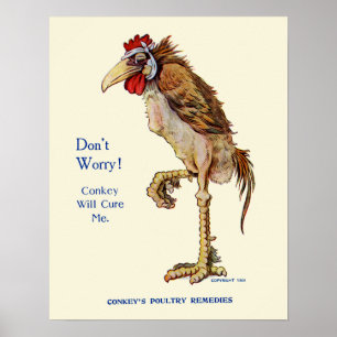 Póster Remédios das aves domésticas de Conkeys