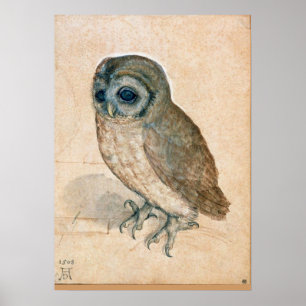 PÓSTER RENAISSANCE ANIMAL DRAWINGS / THE OWL