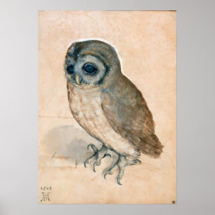 PÓSTER RENAISSANCE ANIMAL DRAWINGS / THE OWL