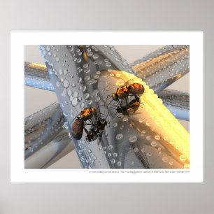 Póster Rencontre do La - a reunião (versão dourada)