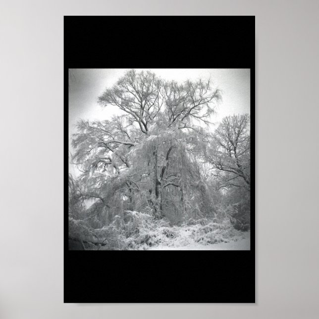 Póster renda (Frente)