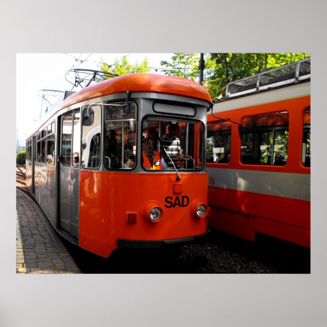 Poster Renon Historical Rail (Frente)