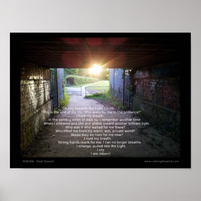 Poster Renovado por Fredi Stewart (Frente)