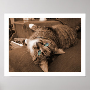 Póster Repose na sarja