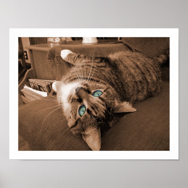 Póster Repositar em Twill (Frente)