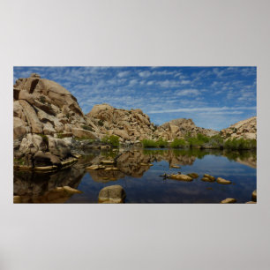 Póster Represa Barker Reflexão em Joshua Tree I