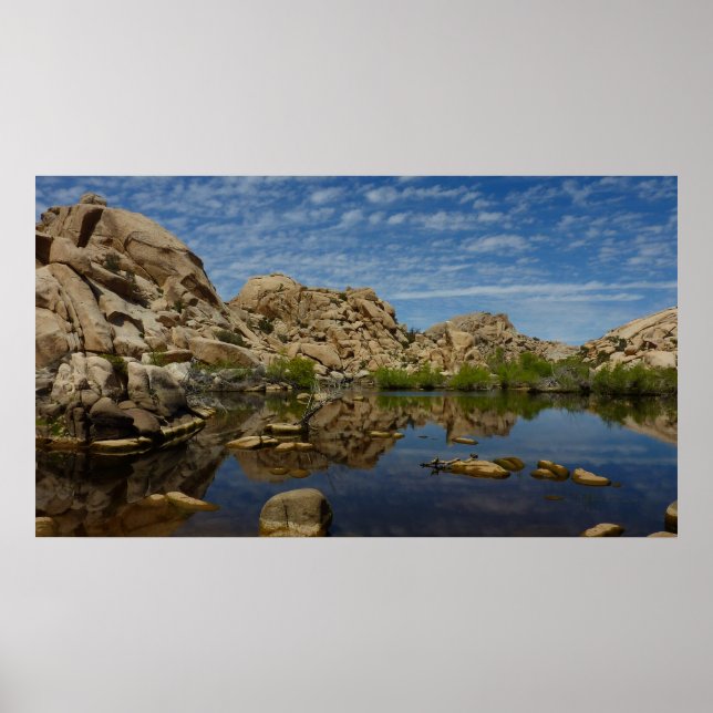 Póster Represa Barker Reflexão em Joshua Tree I (Frente)
