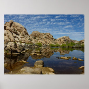 Póster Represa Barker Reflexão em Joshua Tree I