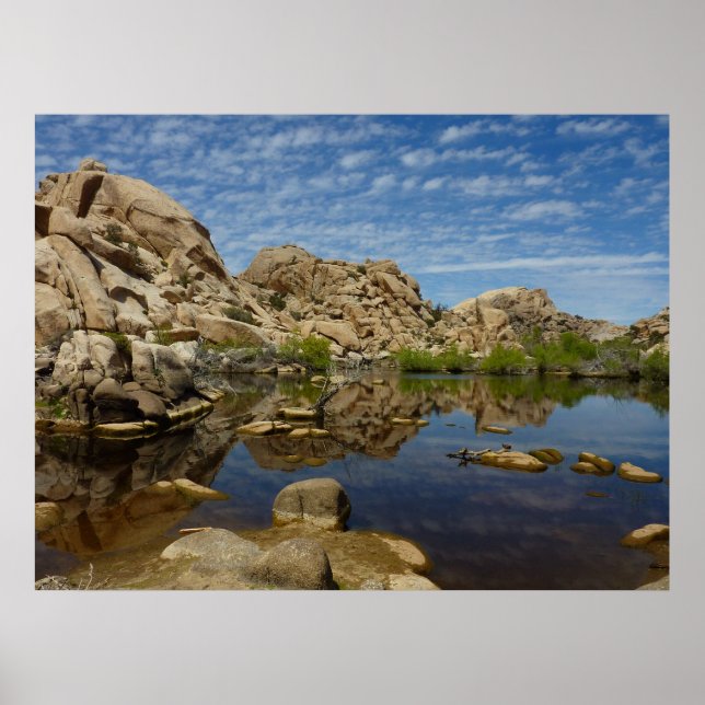 Póster Represa Barker Reflexão em Joshua Tree I (Frente)