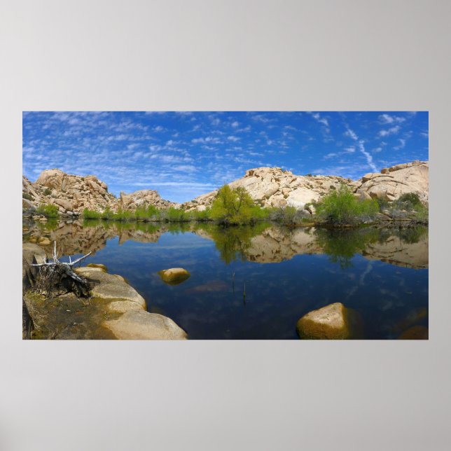 Poster Represa Barker Reflexão em Joshua Tree II (Frente)