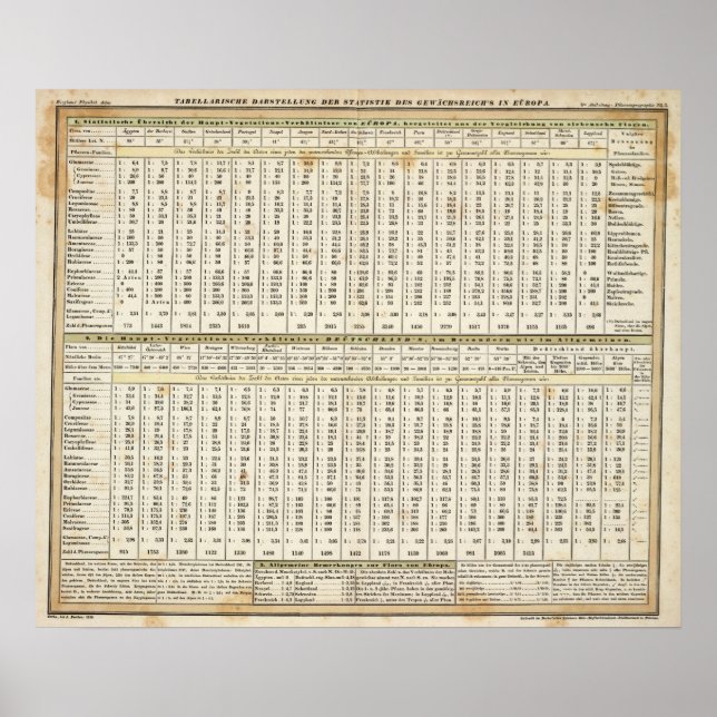 Póster representação tabular de estatísticas (Frente)