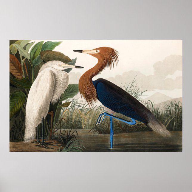 Poster Reprodução de Roxo, 1835 Placa CCLVI (Frente)