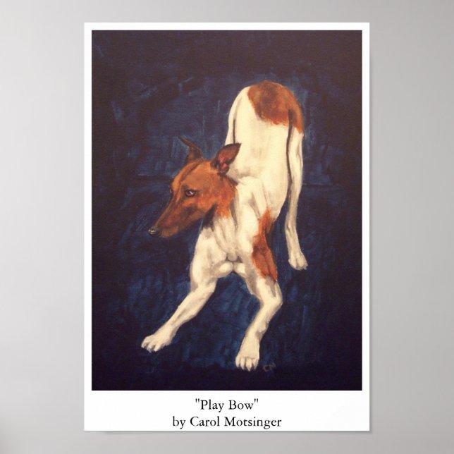 Poster Reproduzir Arco (Frente)