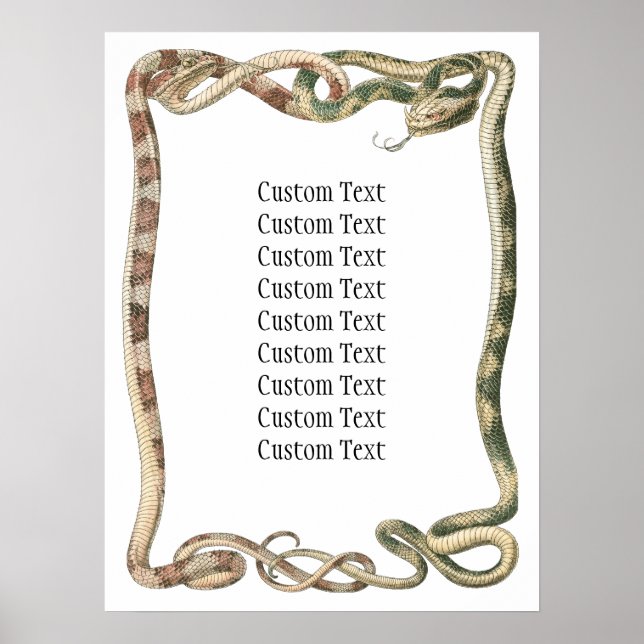 Póster Répteis Antigos, Serpentes ou Víboras Entrelaçadas (Frente)