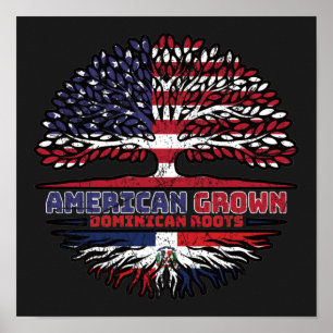 Poster República Dominicana EUA EUA Estados Unidos