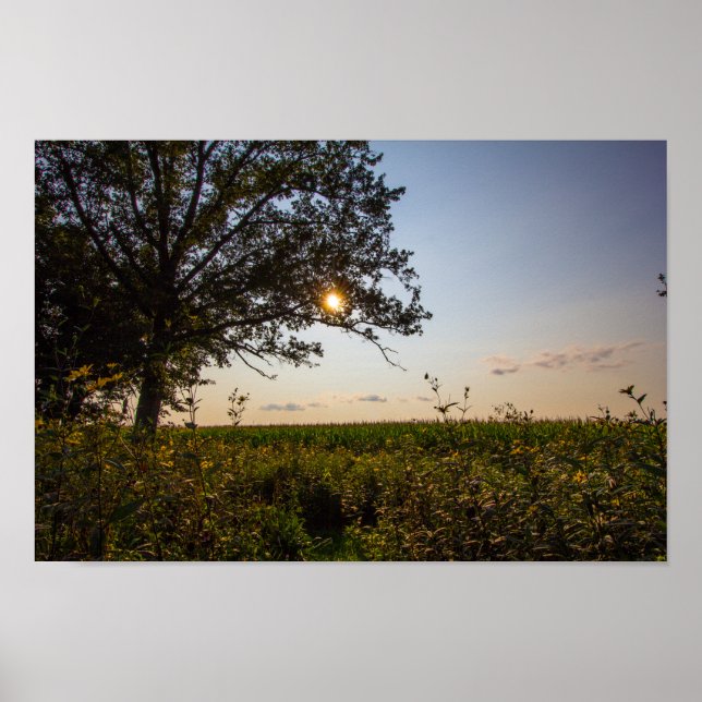 Poster Reserva de Estado do Cemitério Bigelow, Ohio (Frente)