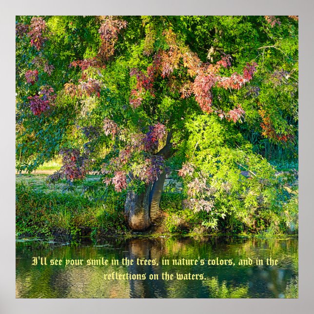 Póster Reserva de Natureza do SkyRidge (Frente)