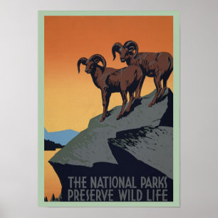 Poster Reserva de Parques Nacionais de Montanha Vintage