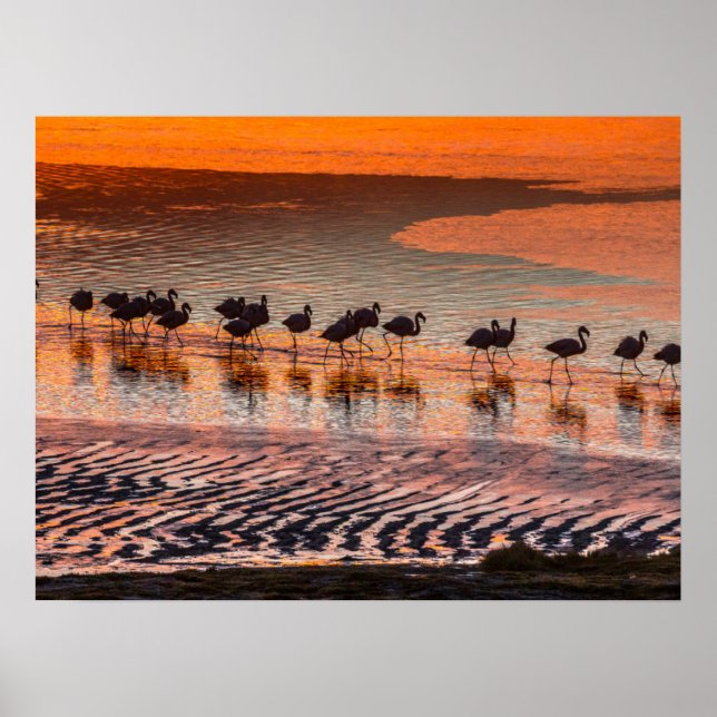Poster Reserva Nacional de Fauna Andina Eduardo Abaroa (Frente)