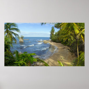 Poster Reserva natural de Costa Rica, Manzanillo
