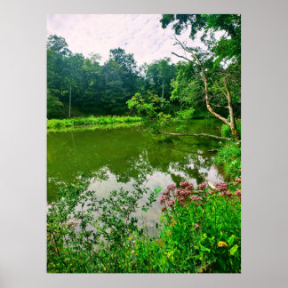 POSTER RESERVA NATURAL ITHACA NEW YORK