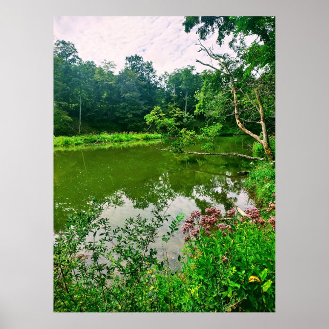 POSTER RESERVA NATURAL ITHACA NEW YORK (Frente)