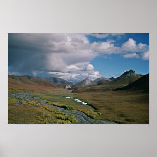 Póster Reserva natural nacional ártica