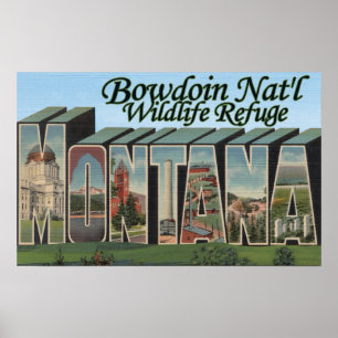 Poster Reserva natural nacional de Bowdoin, Montana