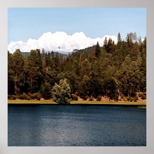 Poster Reservatório Ewing.... (Frente)