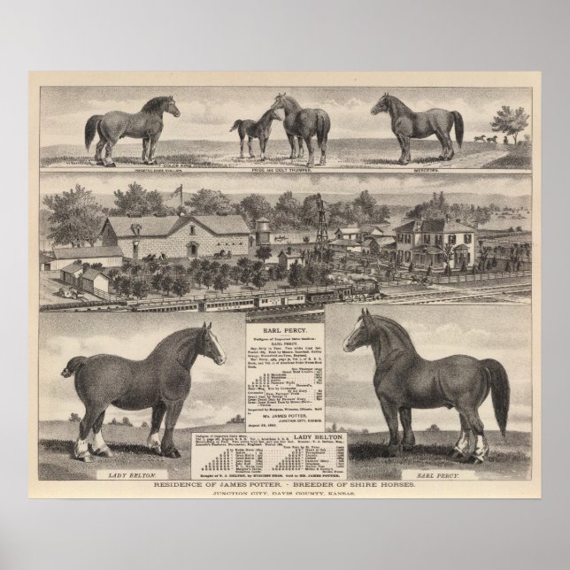 Póster Residência de James Potter, Junction City, Kansas (Frente)
