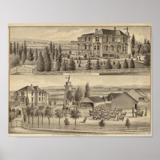 Póster Residência negra, fazenda (Frente)