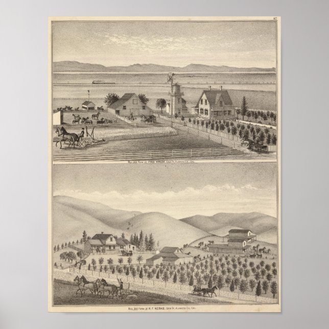 Póster Residências Wrede, Nebas (Frente)