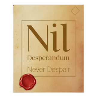 Póster Resilience Motivational Quote - Latin Poster Art