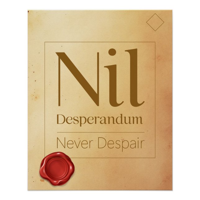 Póster Resilience Motivational Quote - Latin Poster Art (Frente)