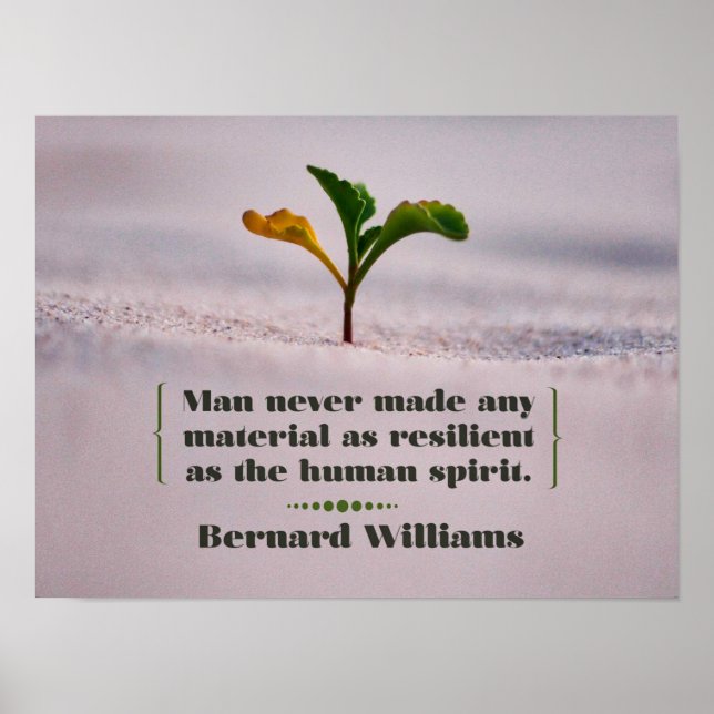 Poster Resiliente como o Espírito Humano (Frente)