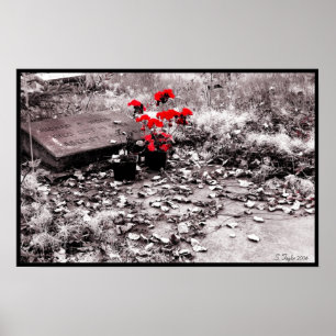 Póster Respingo vermelho