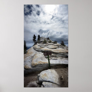 Póster Resto das nuvens - Yosemite
