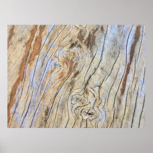Poster Resumo do desenho gráfico de textura em madeira de