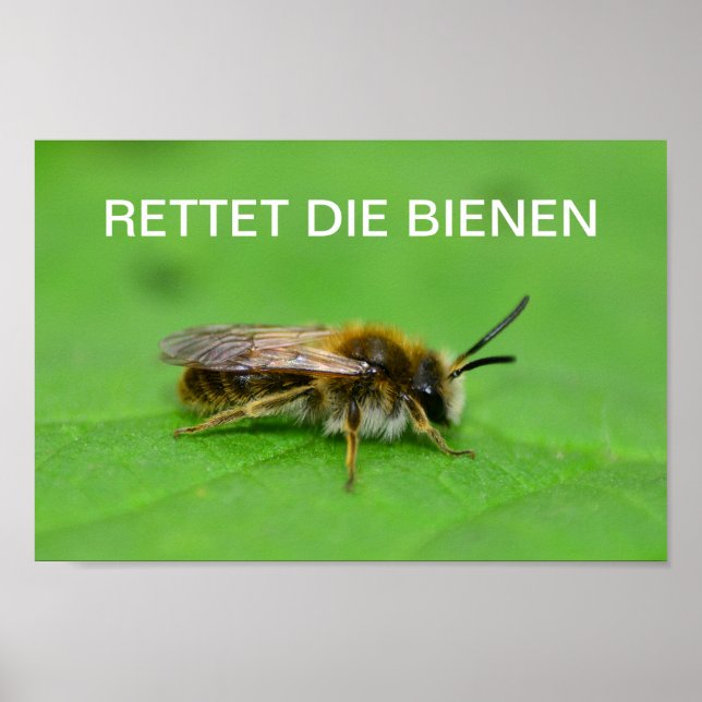 Poster Retet die Bienen (Frente)