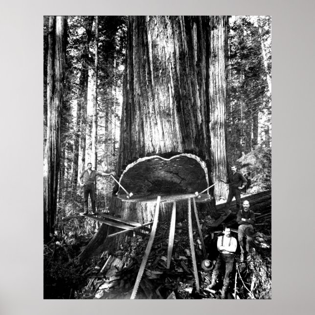 PÓSTER RETIRANDO UM GIGANTE C. 1890 (Frente)