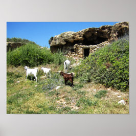 Poster Retiro de Cabras