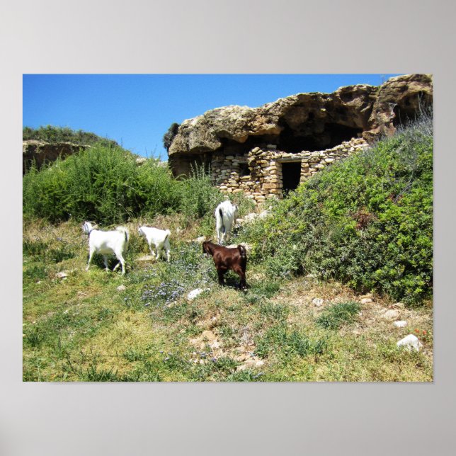 Poster Retiro de Cabras (Frente)